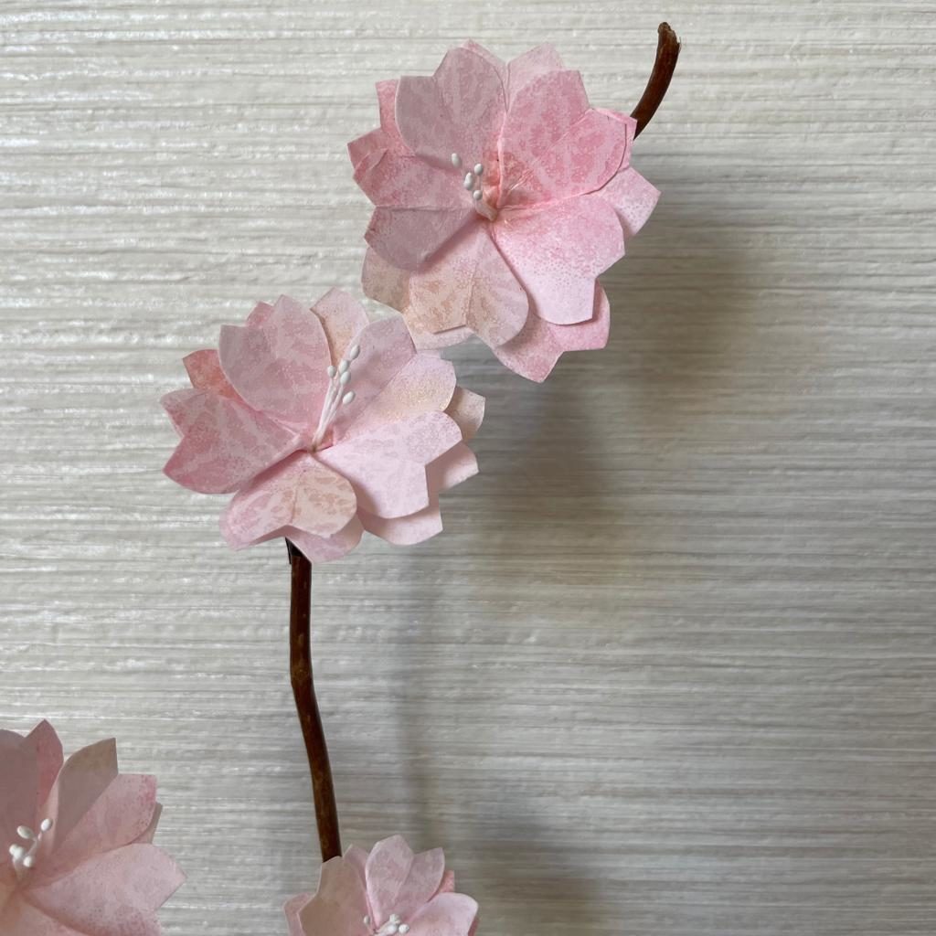 Branches de sakura en soliflore